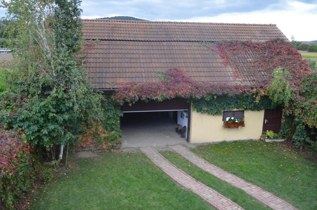 Hotel La Mos Pavel Noslac Esterno foto