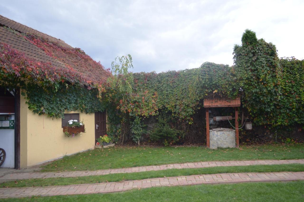 Hotel La Mos Pavel Noslac Esterno foto