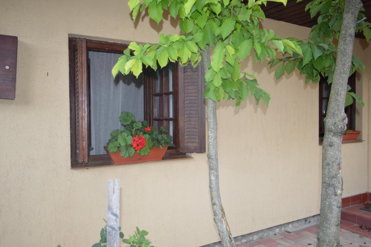 Hotel La Mos Pavel Noslac Esterno foto