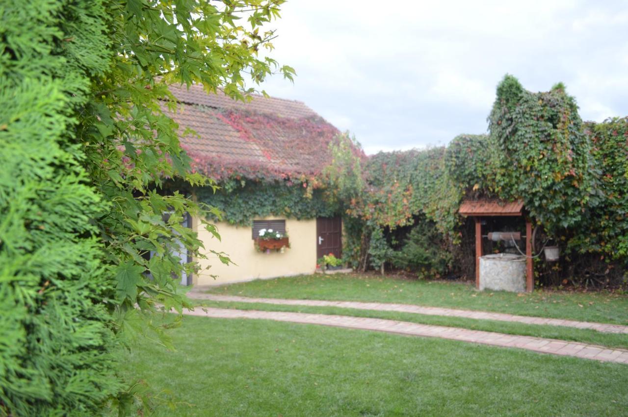 Hotel La Mos Pavel Noslac Esterno foto