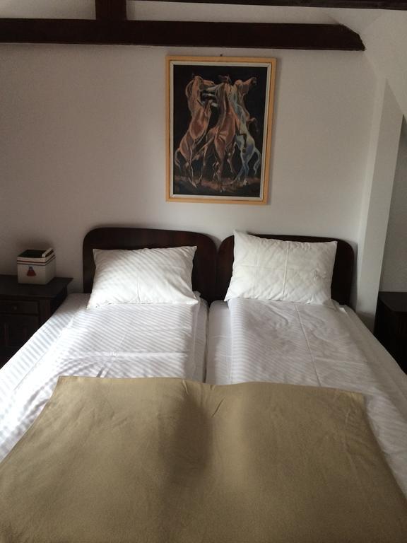 Hotel La Mos Pavel Noslac Esterno foto